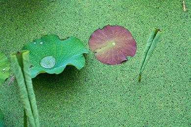 休闲派对游戏《BOTSU：滑稽机器人》现已在Steam平台推出试玩Demo